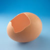元手タダ“家ゴミ→お宝化”計画（8）卵の殻もカメ用に売れる？