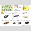 ゴキブリスト必見!?「ゴキブリ展」成功のワケと「GKB48総選挙」投票結果