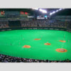 日本シリーズ“巨人大敗”なら「セDH制」導入で控え野手の出場機会が激減!?