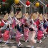 「阿波踊り」踊り子600人超がコロナ感染「主要因ではない」徳島市長の見解に飛び交う疑問