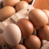 物価高に追い打ち！「鳥インフル」猛威で卵と鶏肉価格が過去最高水準に
