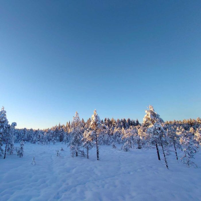 雪山