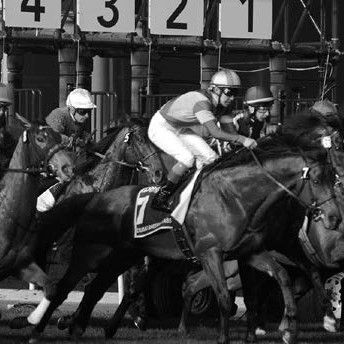 「ドバイ国際競走」で買うべき「ブッチギリ日本馬」