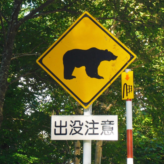 クマ出没注意