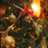 ニトリの大人気「縦割りクリスマスツリー」は合理的？　それとも夢がない？