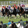競馬一家のサラブレッド・大江原比呂騎手は9鞍騎乗…新人騎手8人デビュー戦の「注目馬」