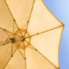 酷暑でいよいよ「男性の日傘」急増！　ゲリラ豪雨対策の“晴雨兼用”が後押しに