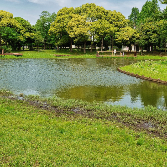 水元公園