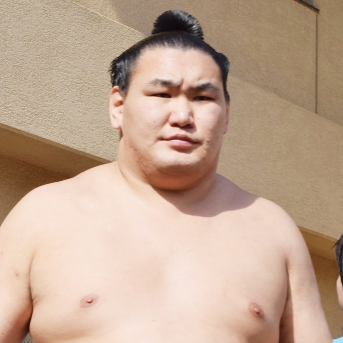豊昇龍