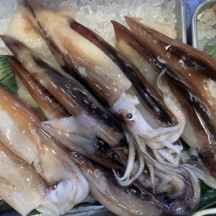 スルメイカ